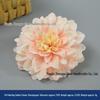 Champagne Silk Imitation Flowers for Hairpins, Hanfu Headdresses, Souvenirs, and Performance Accessories.