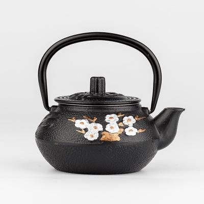Japanese Exquisite Plum and Bamboo Painted Series Cast Iron Kettle Boiling Water Teapot Tea Set with Strainer Kettle Tea Pot