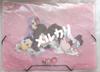 [USED] Fate/EXTRA CCC Clear File Case Extra Saber BB