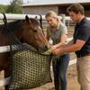 Hay Bags For Horses Easy To Fill Large Capacity Bag Slow Feed Hay Net For Goat Mules Livestock Barn Trailer Feeding Supplies