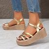 Summer Platform Sandals 2025 New Printed Random High Heel Sandals Women's Wedge Platform Beach Slippers