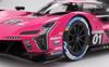 TOP SPEED Scale Cadillac V Series R IMSA Petit Le Mans 2024 Winning Car Cadillac Racing Finished Model TS0611 1/18 #01