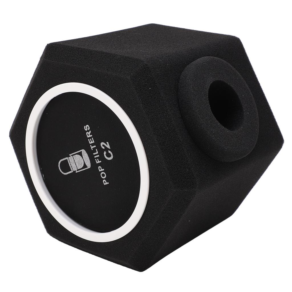 C2 Microphone Sponge Cover High Density Microphone Windscreen Professional Microphone Recording Isolation Booth