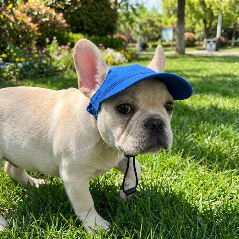 Adjustable Dog Sun Hat Sun Protection Dog Sunscreen Hat Handsome Dog Baseball Cap  Daily Wear
