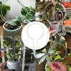 Weather-resistant Acrylic Plant Bracket Transparent Plants Growth Stand  Indoor Plants