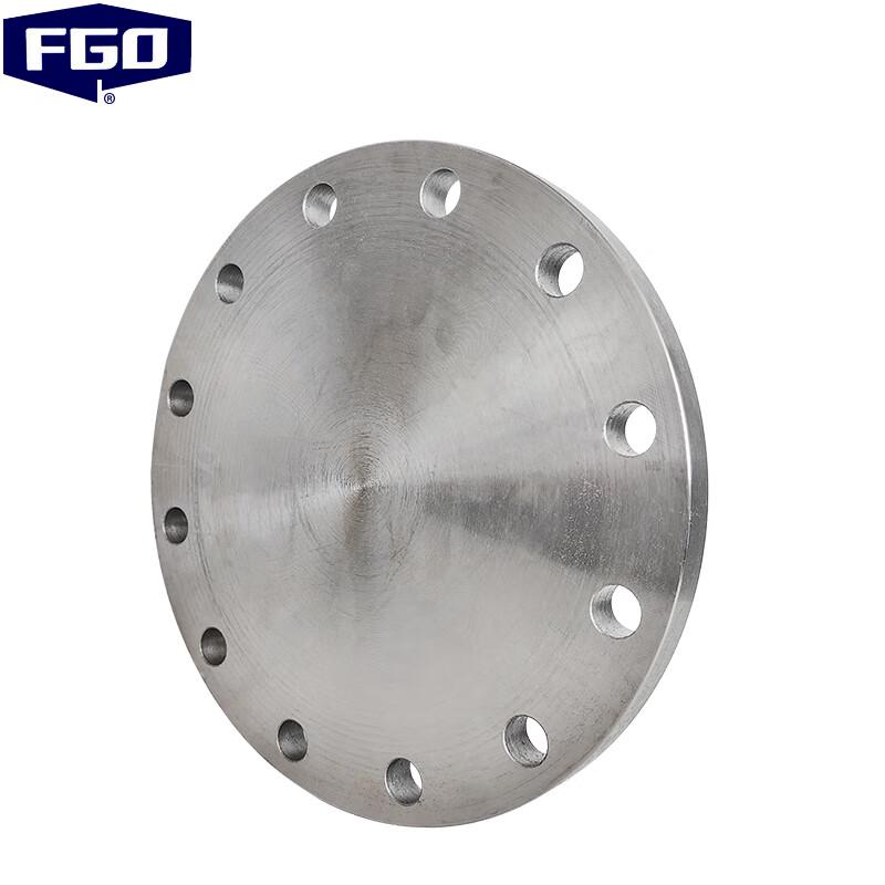 FGO Carbon Steel Forged Blind Flange DN250