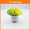 Simulated Plastic Desert Succulent Plant Desktop Decoration Potted Plant