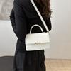 Fashionable Minimalist Commute Crossbody Bag For Women Summer 2024 In Various Colors