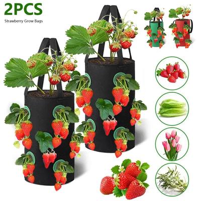 Lot de 2 sacs de culture de fraises de 3 gallons, pochette verticale pour fleurs et herbes, jardinière réutilisable avec panier de plantes non tissé à 12 trous, pot de plantation