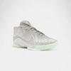 LeBron 22 Dunkman (Translucent Outsole)