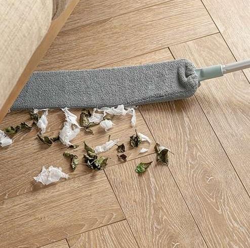 TELESCOPIC BRUSH FOR DUSTING COBWEBS - 250cm + 2 OVERLAYS