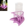 Automatic Reptile Water Feeder Safe Purple Fence Reptile Water Drinker Dispenser with Bottle for   Reptile Supplies