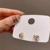 S925 Silver Needle 2024 Starfish Stud Earrings with Micro-set Zircon – Women’s Stylish, Versatile Ear Jewelry.