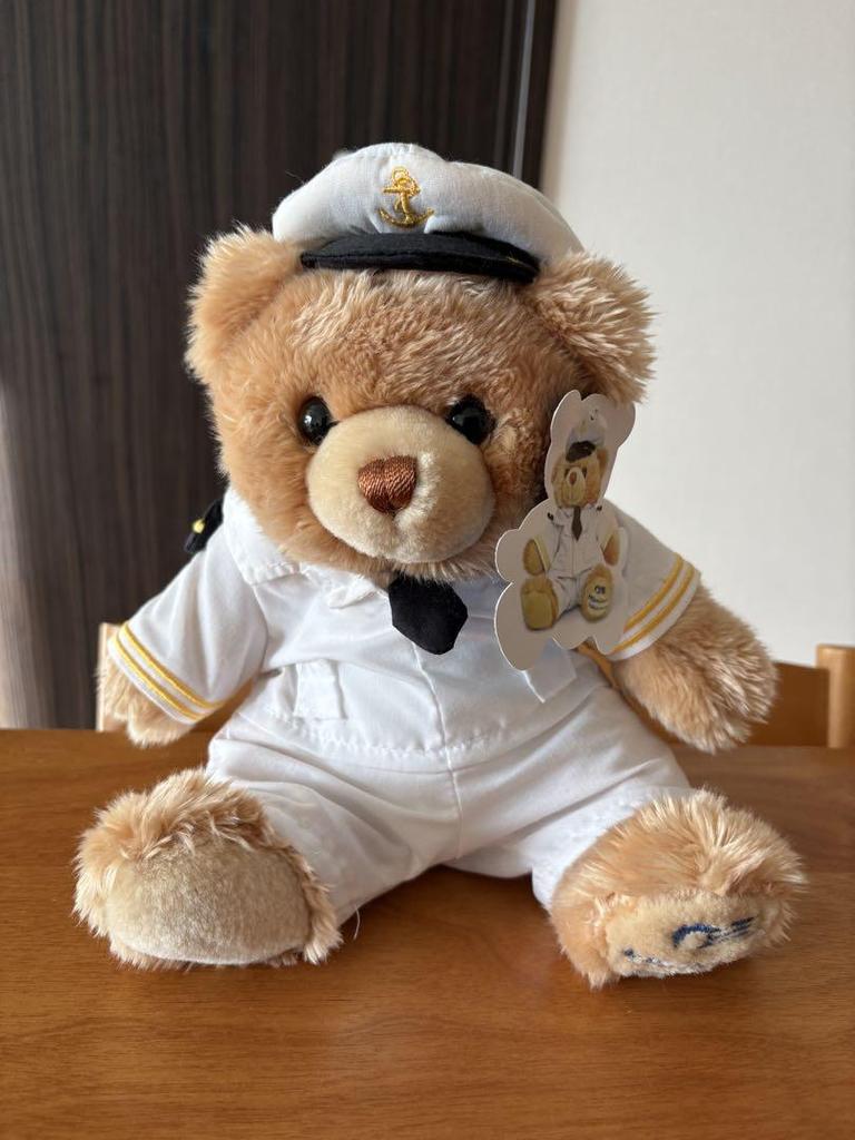[USED] Princess Cruises Cruise Ship Exclusive Teddy Bear Plush Toy