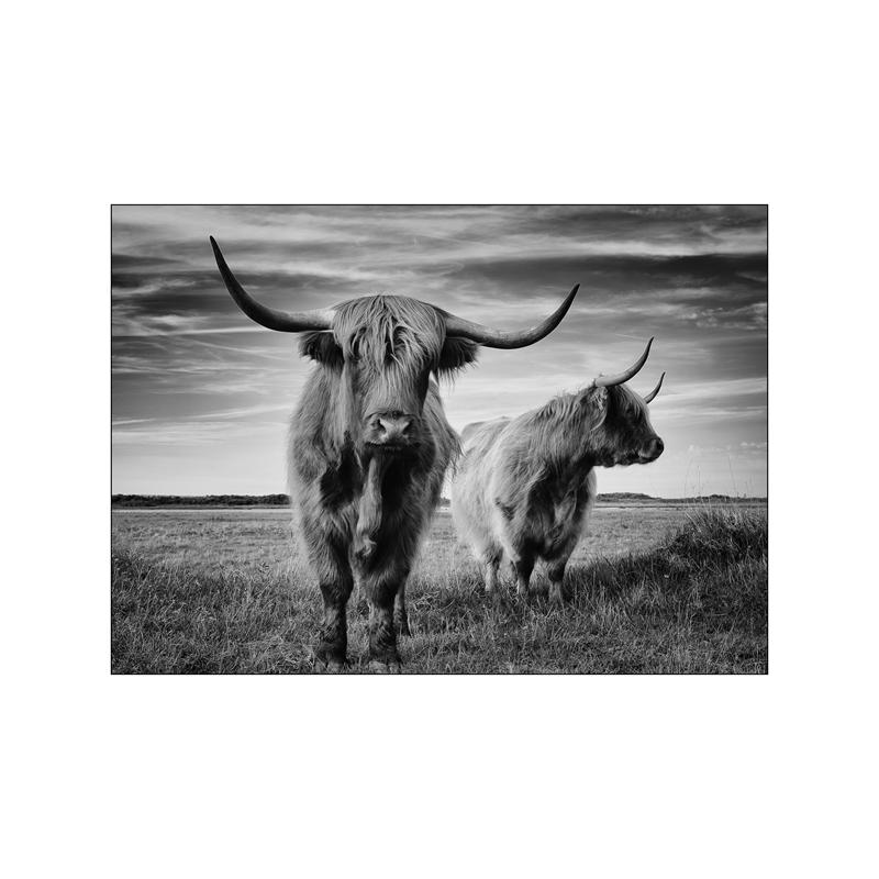 Animale în stil nordic poster estetică ilustrație peisaj natural Ursul lup imprimare pânză Walll Art Decorare acasă Decor camere