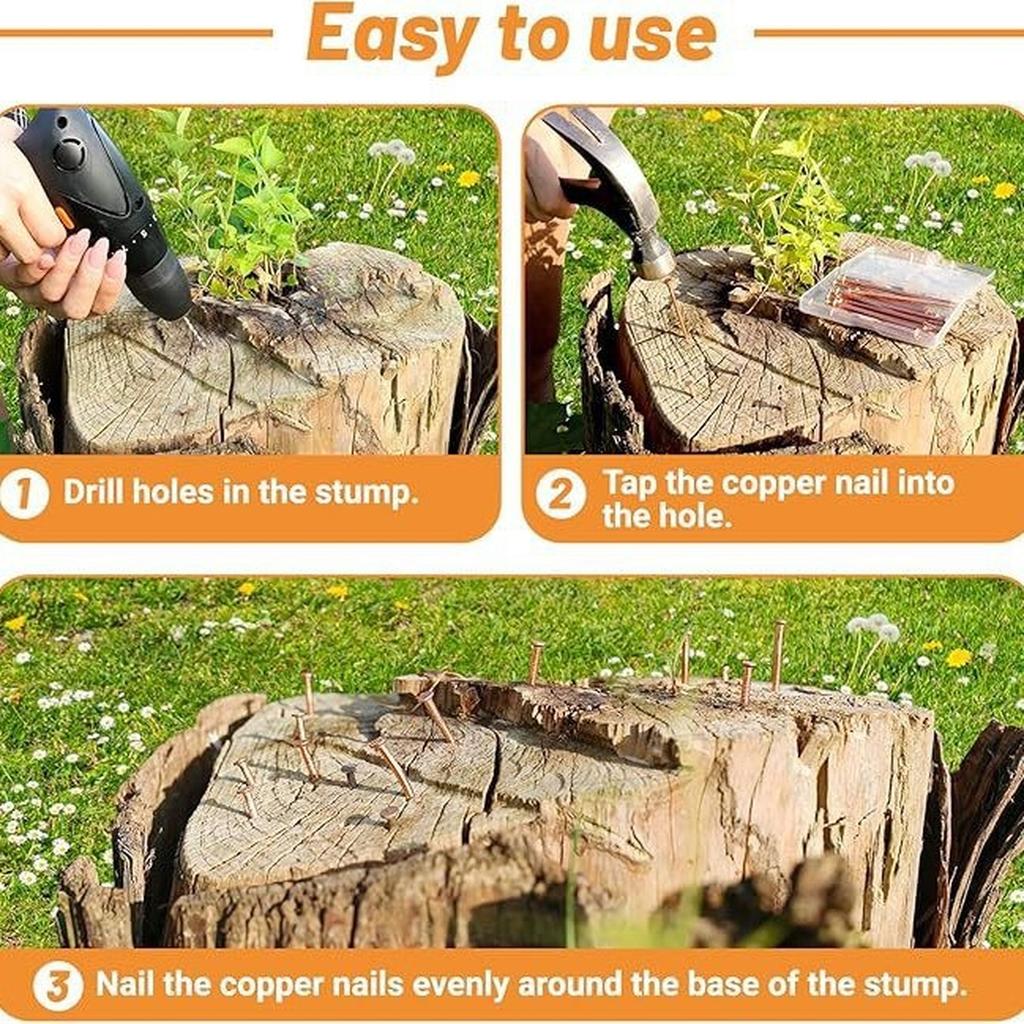 15 pcs Copper Nails for Killing Trees Stump Root Slowly, 3.15" Copper Nails with Drill, Stump Removal Spikes Nails for Trees, Stumps