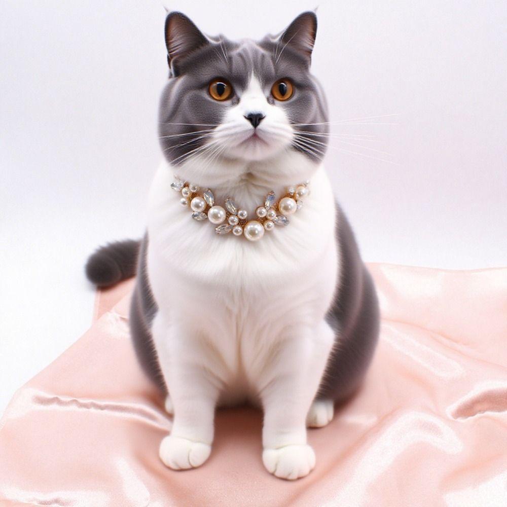 Stainless Steel Pet Necklace Adjustable Dog Collar Luxury Cat Collar Birthday Gift