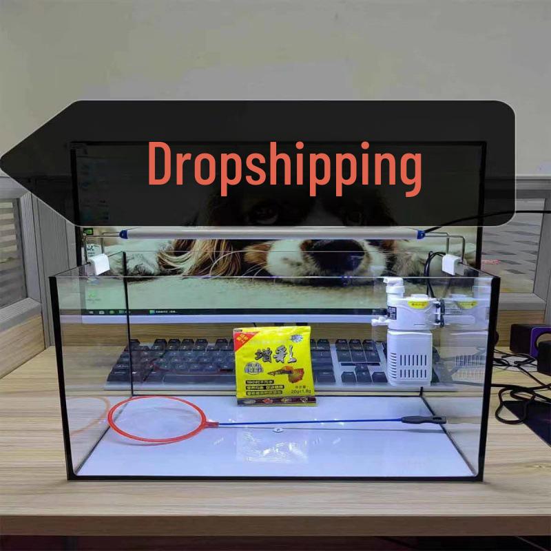 

Rectangular Fish Tank - Desktop Aquarium for Home and Office Decor