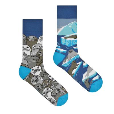 Seals - Colorful Socks