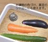 OSK Nanbu Ironware Sumikkogurashi Polar Bear Iron Made in Iron Anemia Easy to and IH Pickled Black Miso Simmered (OSK) Ball, Japan, Supplement,
