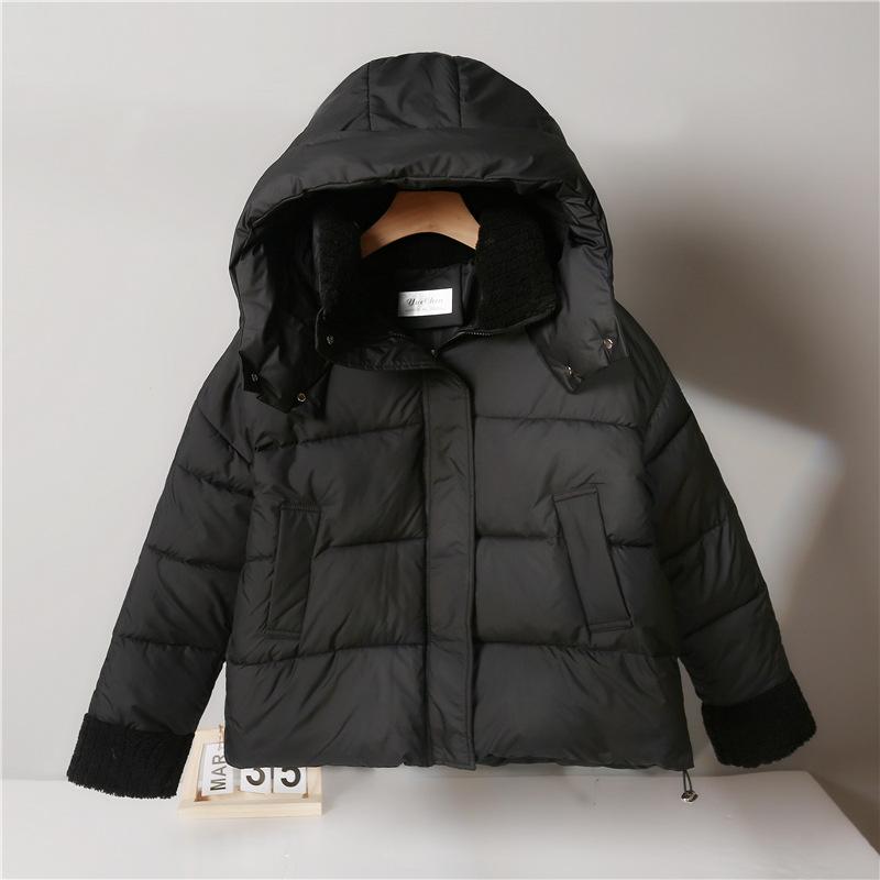 Winter New Hooded Padded Jacket Versatile Thickened Warm Padded Jacket Women's Short Jacket