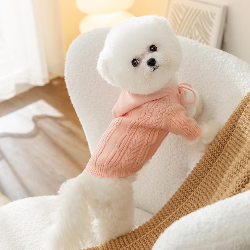 Early Autumn Dog Sweater Autumn and Winter Warm Hooded Hairball Two Feet Teddy Cat Small Dog Pet Bigbear Clothes