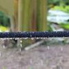 Quick Connect Porous Soak Hose Anti-Aging Permeable Pipe Micro Drip Irrigation Hose  Lawn Watering