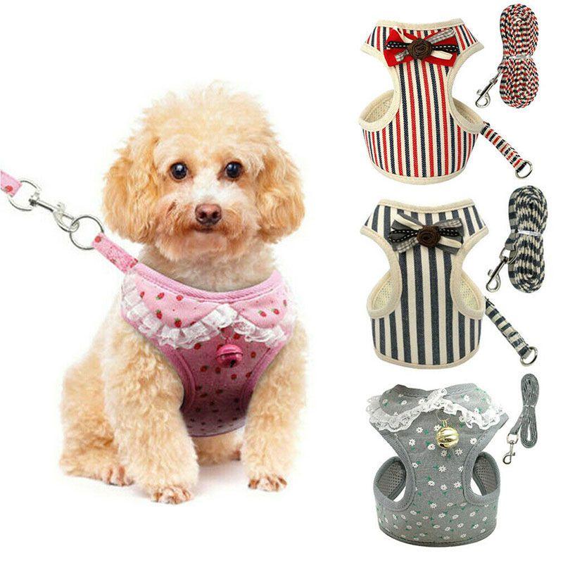 Soft Padded Dog Harness With Easy Hook And Loop Closure For Small And Medium Dogs