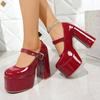 Super High Heel Shoes Round Head Shallow Mouth Pumps Metal Buckle Thick Heel Shoes Waterproof Platform Mary Jane Shoes Women