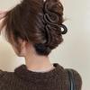 Encounter Maillard Frosted Large Claw Clip: Luxury Shark Hair Accessory for Women 2024