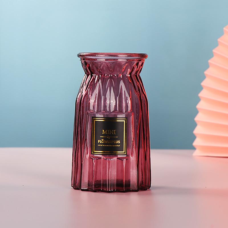 European Glass Vase for Fresh or Dried Flowers - Simple, Creative Home Decor Ornament