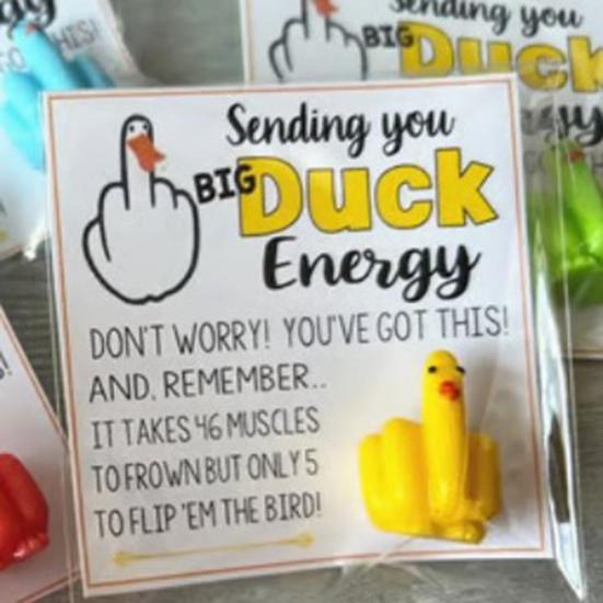 Middle Finger Duck Funny Duck Lucky Charm Gift with Encouraging Card Sending You Big Duck Energy Ornament Inspirational Gift for Friends Family