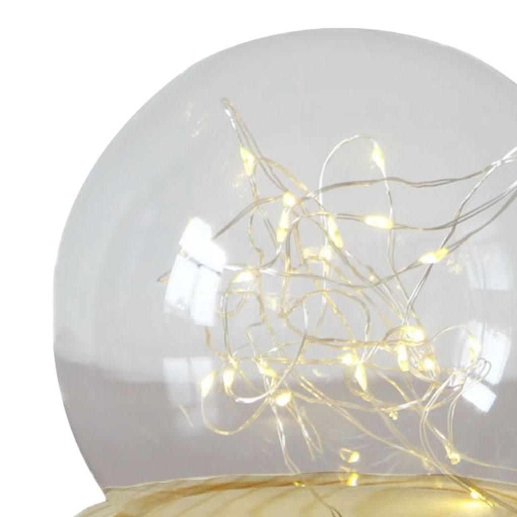 Glasglocke Cloche Bell Klar mit Holzsockel Vitrine Mini für Pflanzen