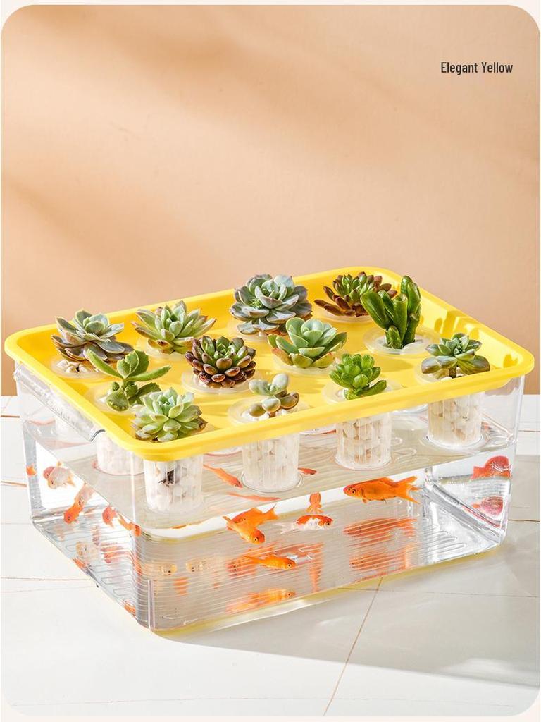 Eco-Friendly Betta Fish Tank: Stylish Desktop Micro Landscape for Living Room & Office with Goldfish & Plant Symbiotic Aquarium