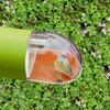 2pcs Transparent Insect Catcher Handheld Portable Tube Insect Catcher Quick-Release Bug Catching Tool for Outdoor Kid Observation Toy