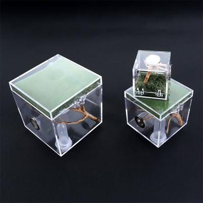 1 conjunto pequena fazenda de formigas aranha inseto terrário respirável transparente caixa de criação de répteis acrílico montado eco caixa