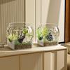 16/19/22/27cm Round Fish Bowl Aquarium Fish Tank with Square Thicken Base Plastic Clear Ecological Fish Tank Hydroponic Vase