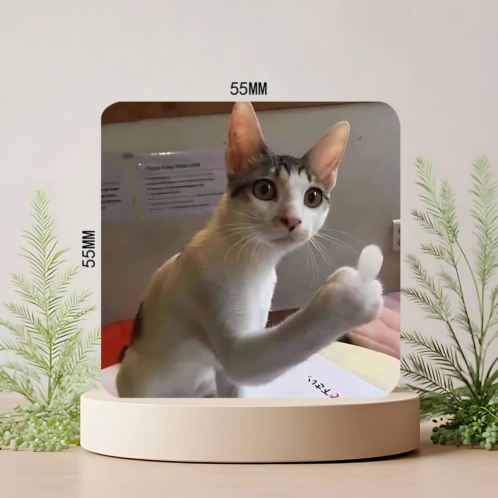 Grappige Kat Memes Koelkastmagneet Gepersonaliseerde Creatieve Magnetische Stickers Met Magneten