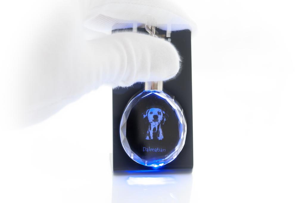 Dalmatian, Carriage Dog, Spotted Coach Dog - Pendant with a Photo of a Dog, Crystal Key Ring In a Gift Box, a Unique Gift by Art-Dog