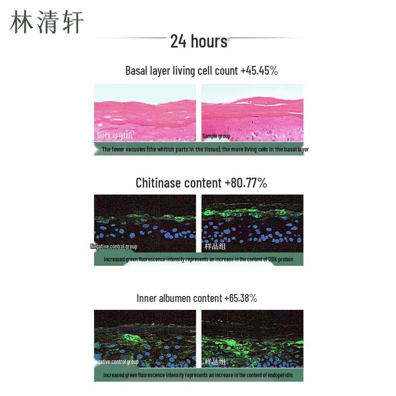 Lin Qing Xuan Camellia Barrier Repair Essence Ampoules