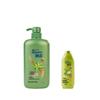 Rejoice Daily Care Dual Effect Feuchtigkeitsspendendes & Erfrischendes Shampoo