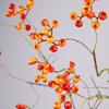 Simulation fruit 11 fork big branch fortune fruit, simulation berry rattan decorative fruit Chinese flower