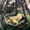 Nylon Hanging Hamster Hammock Swing with Pad Pet Bed Swing Hamster Hanging Cage Soft Squirrel Cage Nest