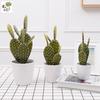 Oulifei Premium Artificial Tropical Succulent Cactus Bonsai for Home Decor