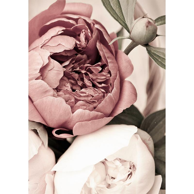 Scandinavian Flower Photo Print Canvas Painting Poster Modern Wall Art Botainical Floral Pictures Living Room Home Decor Cuadros