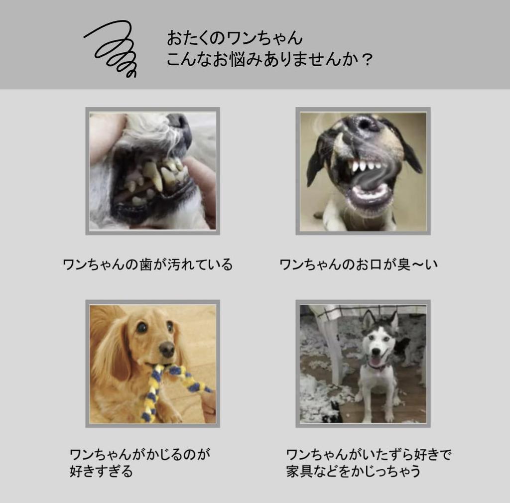 Cotton Gobble Dog Chew Dog Toy with Stress and for Medium Dogs x CHIPP'S Toy, Rope, Teething, Relief, Anti-Mischief, (Gray 2)