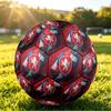 Czech Republi Football Printed Size 5 Soccer Ball Wear Resistant Standard Adult Training Football Fan Gift for Indoor Outdoor Match Sports