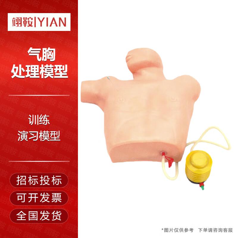 Pneumothorax Treatment Training Model