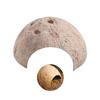 Coconut for Shell Hide Cave Aquarium Decorations for Spider Tarantula Iguana Liz
