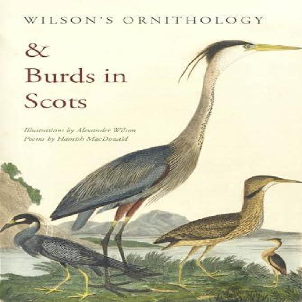 Wilsons Ornithology and Burds in Scots by Hamish MacDonald Paperback Book 9781910895399